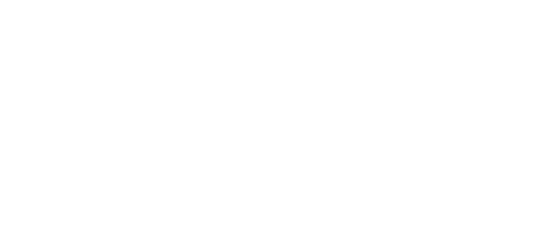 RaIO